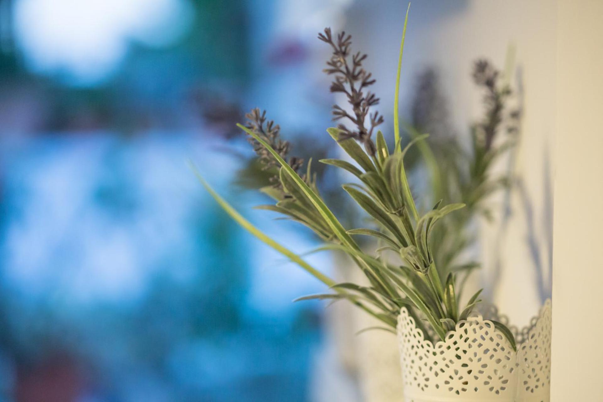 الشقق الفندقية Corinthفي  Iris Garden Retreat المظهر الخارجي الصورة