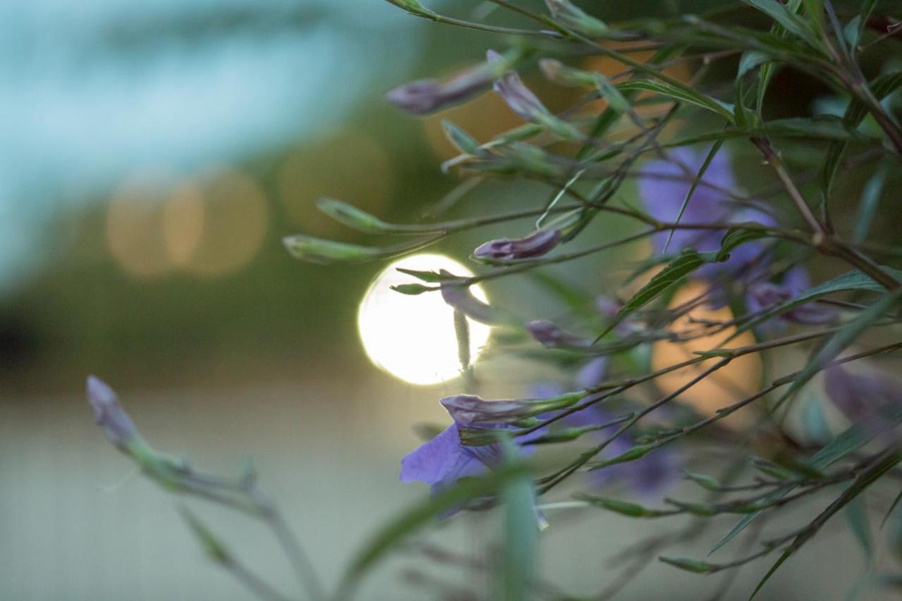 الشقق الفندقية Corinthفي  Iris Garden Retreat المظهر الخارجي الصورة