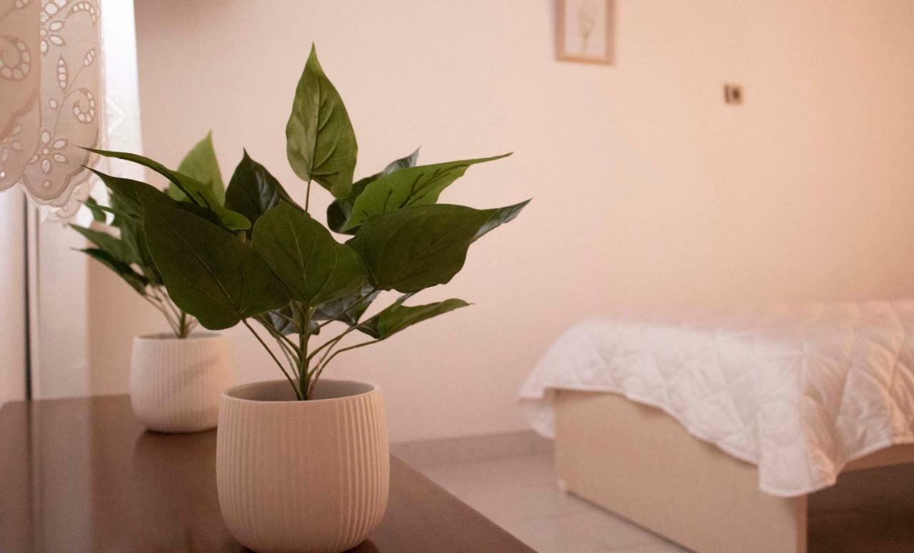 الشقق الفندقية Corinthفي  Iris Garden Retreat المظهر الخارجي الصورة